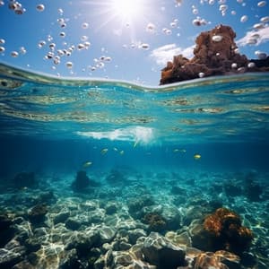 Sinfonía A La Orilla Del Mar: Musica Debajo Del Océano - Música curativa de chakras