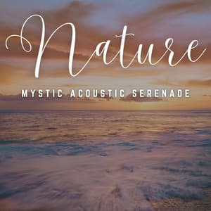 Acoustic Reverie: Unplugged Melodies - Some Music