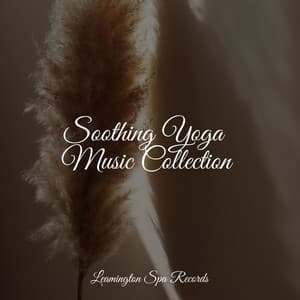 Soothing Yoga Music Collection - Thunder Storm