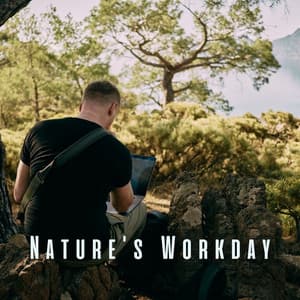 Nature's Workday: Ambient Sounds for a Productive Environment - Sacred Nature