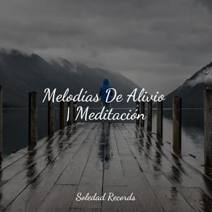 Melodías De Alivio | Meditación - Academia de Meditação Buddha