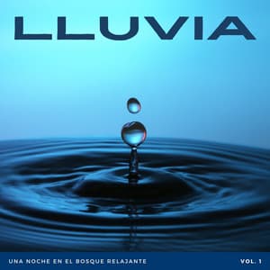 Lluvia: Una Noche En El Bosque Relajante Vol. 1 - Gotas de lluvia para dormir