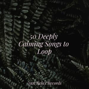 50 Deeply Calming Songs to Loop - Forest Sounds