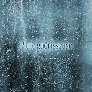 Pluie guérisseuse - Jardim Zen