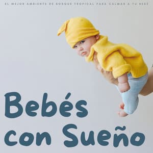 Bebés Con Sueño: El Mejor Ambiente De Bosque Tropical Para Calmar A Tu Bebé - Ruído De Colores Para Bebes