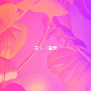 美しい薔薇 - Soft Jazz Relaxation