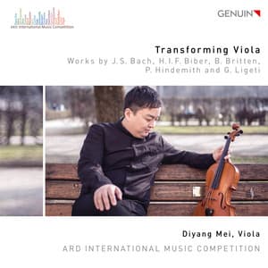 Transforming Viola - Diyang Mei