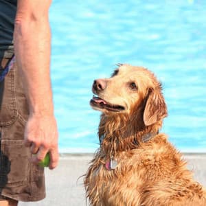 Music for Doggy Spirits - Relax My Puppy