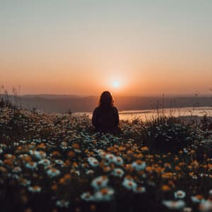 Comfort in Light - Alan Baratieri