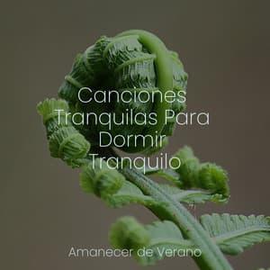 Canciones Tranquilas Para Dormir Tranquilo - Rising Higher Meditation