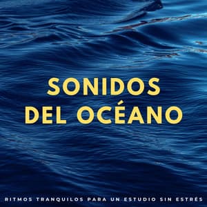 Sonidos Del Océano: Ritmos Tranquilos Para Un Estudio Sin Estrés - Sonidos de las olas del océano Pacífico