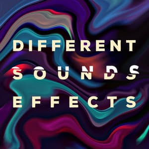 Different Sounds Effects – Ideal for Background - Sounds Effects Academy