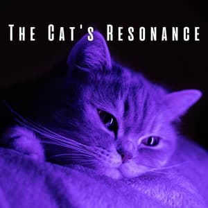 The Cat's Resonance: Binaural Music Reflections - The Sound Around