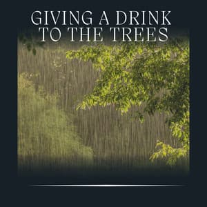 Giving a Drink to the Trees - Rainfall Meditations
