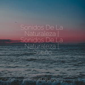 Sonidos De La Naturaleza | Sonidos De La Naturaleza | Sueño - Musica Para Estudiar Academy
