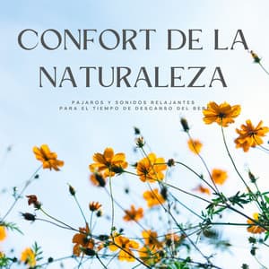 Confort De La Naturaleza: Pájaros Y Sonidos Relajantes Para El Tiempo De Descanso Del Bebé - Naturaleza y sonidos de pájaros