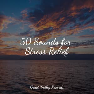 50 Sounds for Stress Relief - Tinnitus Aid
