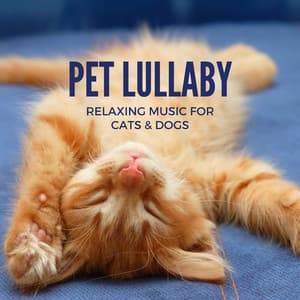 Your Favorite Pet Lullaby - Relaxing Music for Cats & Dogs - Dog Bedtime