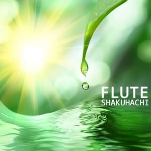 Flute Shakuhachi - Flute Shakuhachi