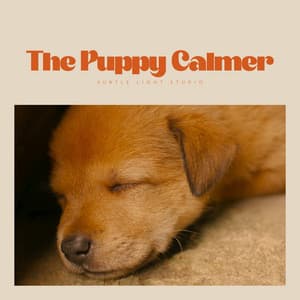 The Puppy Calmer - Dog Relaxation