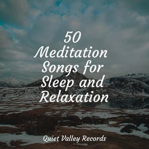 50 Meditation Songs for Sleep and Relaxation - Meditação Maestro