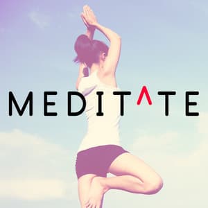Meditate - Zen Meditate