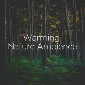 Warming Nature Ambience - Sound of Nature Library