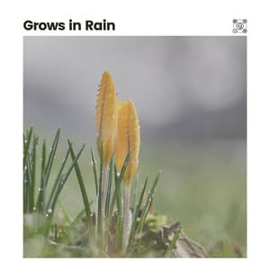 Grows in Rain - Rain is my Life