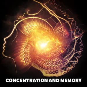 vVv Concentration and Memory vVv - Classical Study Music