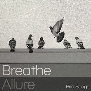 Breathe Allure - Bird Songs