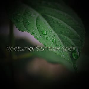 Nocturnal Slumber Spell - Solis Reverie