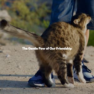 The Gentle Paw of Our Friendship - Elegante Música para Restaurantes