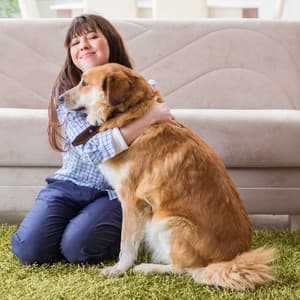 Piano Rain Kisses for Your Loyal Dog - Study Music And Piano Music