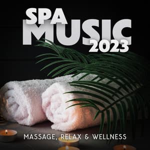 Transparent Glow - Jaya Hari