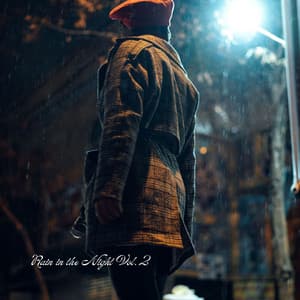 Rain in the Night Vol. 2 - Rain Sound Experience
