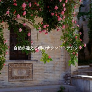 自然が迎える朝のサウンドトラック - Jazz Lounge Cafe