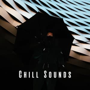 Chill Sounds: Rain's Symphony for Concentration - Ricky Rainsound