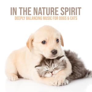 In the Nature Spirit. Deeply Balancing Music for Dogs & Cats. Healthy Vibrations - Pets Music