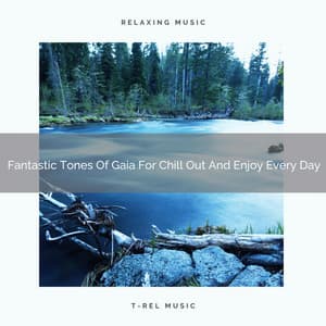 Fantastic Tones Of Gaia For Chill Out And Enjoy Every Day - Calm Water Sounds