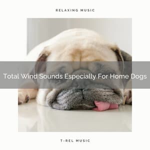 Total Wind Sounds Especially For Home Dogs - Dog Total Relax