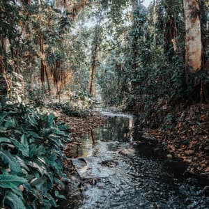 Relaxing Music: Rhythms of Watery Asanas - Music for Stress Relief