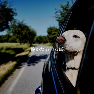 静かなるしっぽ - Jazz Ambiental para Hoteles