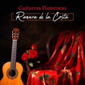 Ranura de la Costa - Guitarras Flamencas