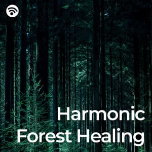 Harmonic Forest Healing - Milo Heart