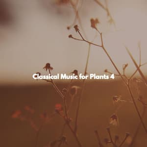 Classical Music for Plants 4 - Cafe Jazz Deluxe Paris