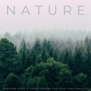 Nature: Soothing Birds & Forest Sounds For Your Yoga Practice - Yoga Nidra