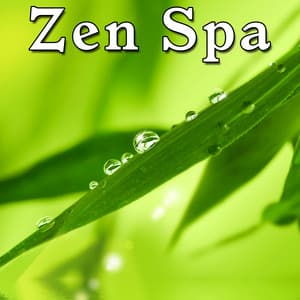Zen Spa with Nature Sounds - Zen Spa
