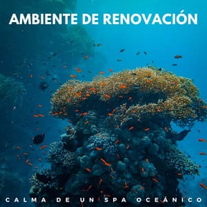 Ambiente De Renovación: Calma De Un Spa Oceánico - Colección de sonidos del océano