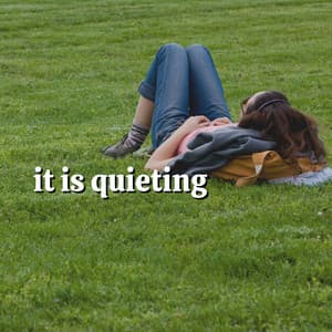 It Is Quieting - White Noise Vacuum