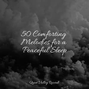 50 Comforting Melodies for a Peaceful Sleep - Rest & Relax Nature Sounds